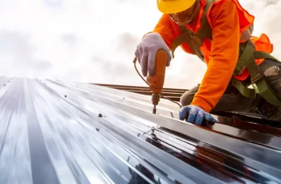 Travaux de zinguerie à Parata